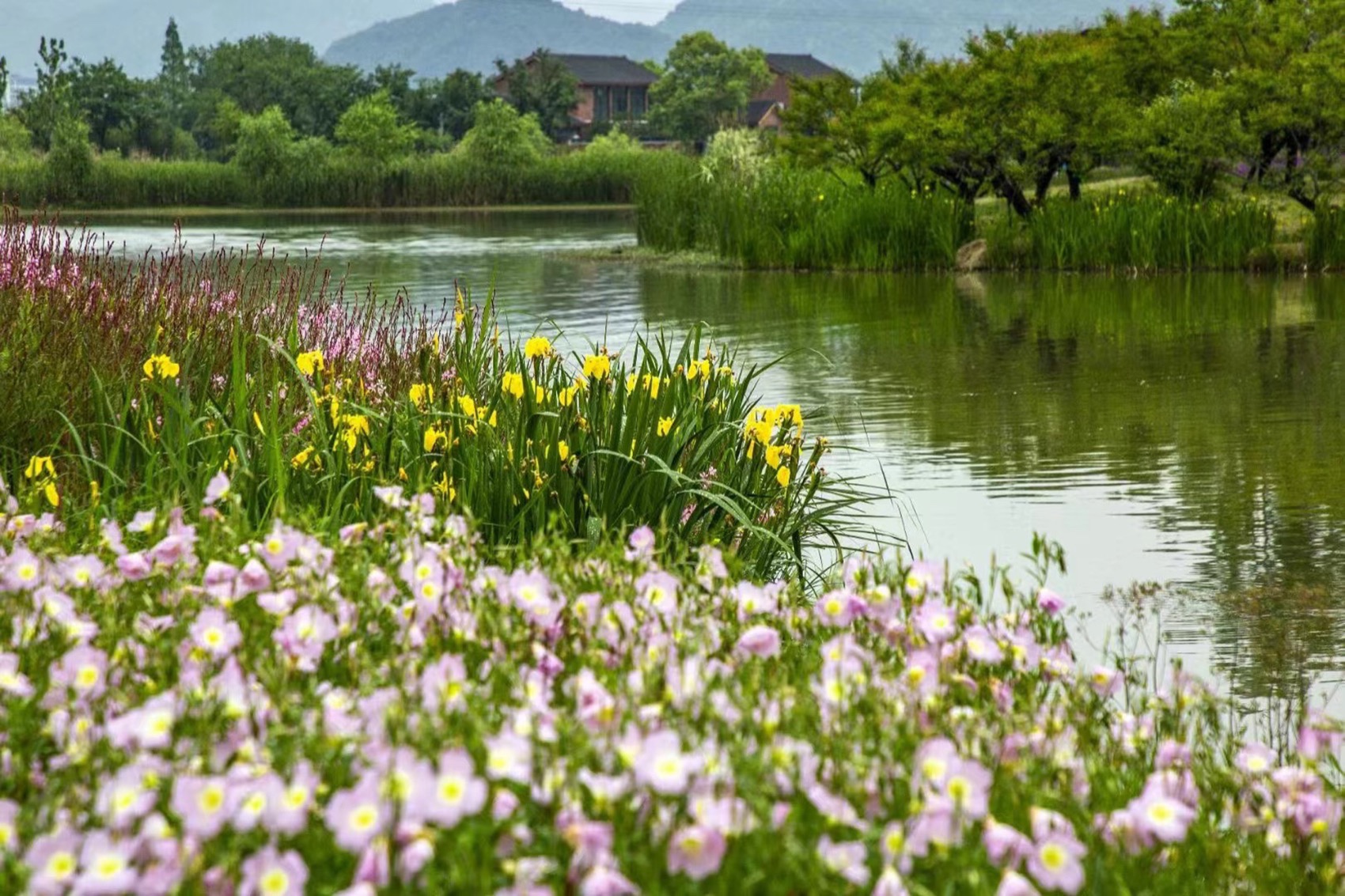 杭州富阳阳陂湖生态修复治理项目（一期）丨中国杭州丨中国电建集团华东勘测设计研究院有限公司,汉嘉设计集团股份有限公司-23