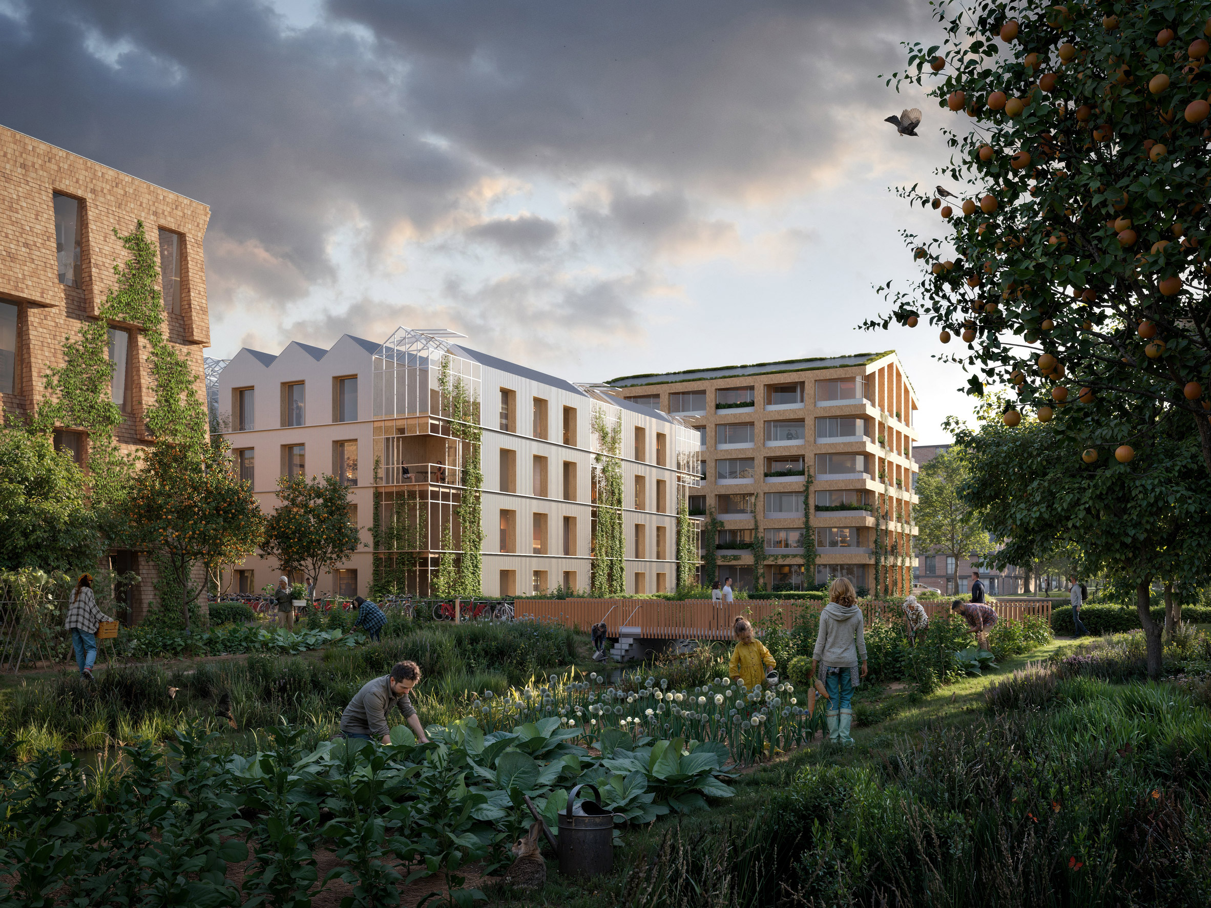 建筑丨荷兰阿姆斯特丹-9