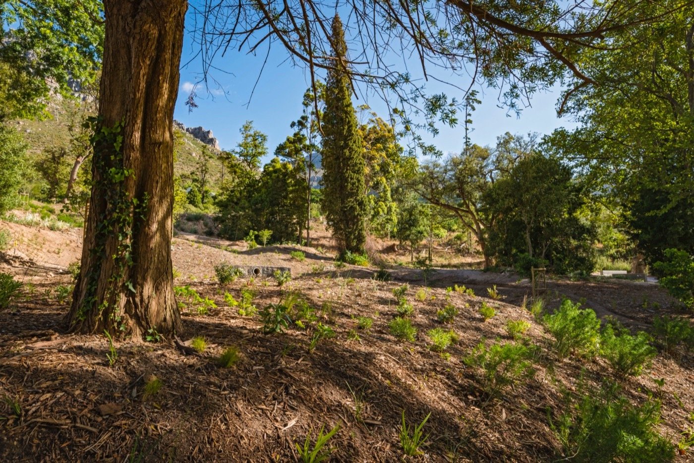 南非阿普尔加思庄园-16