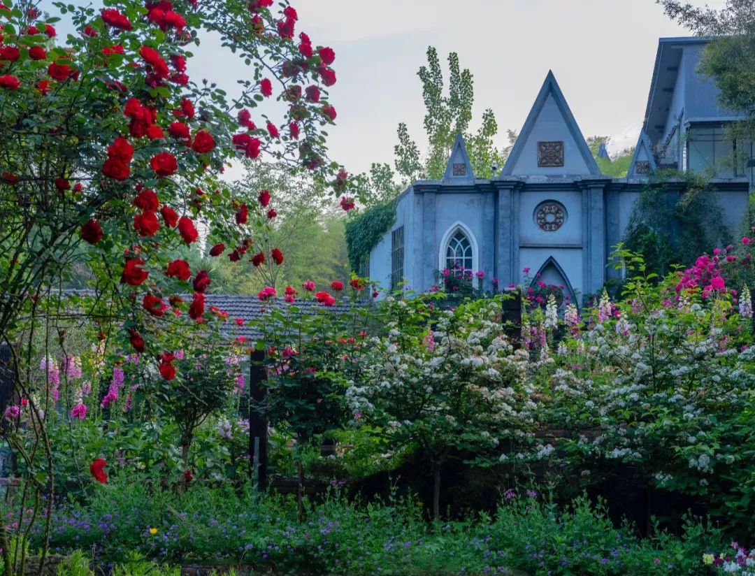 三棵树庄园 | 摄影家的心灵秘境-16