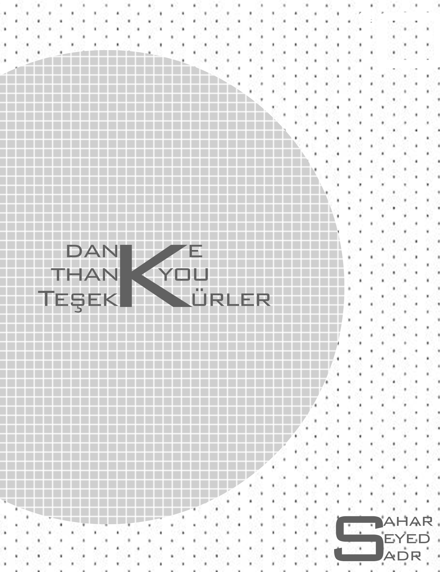 Sahar Seyed Sadr Portfolio-37