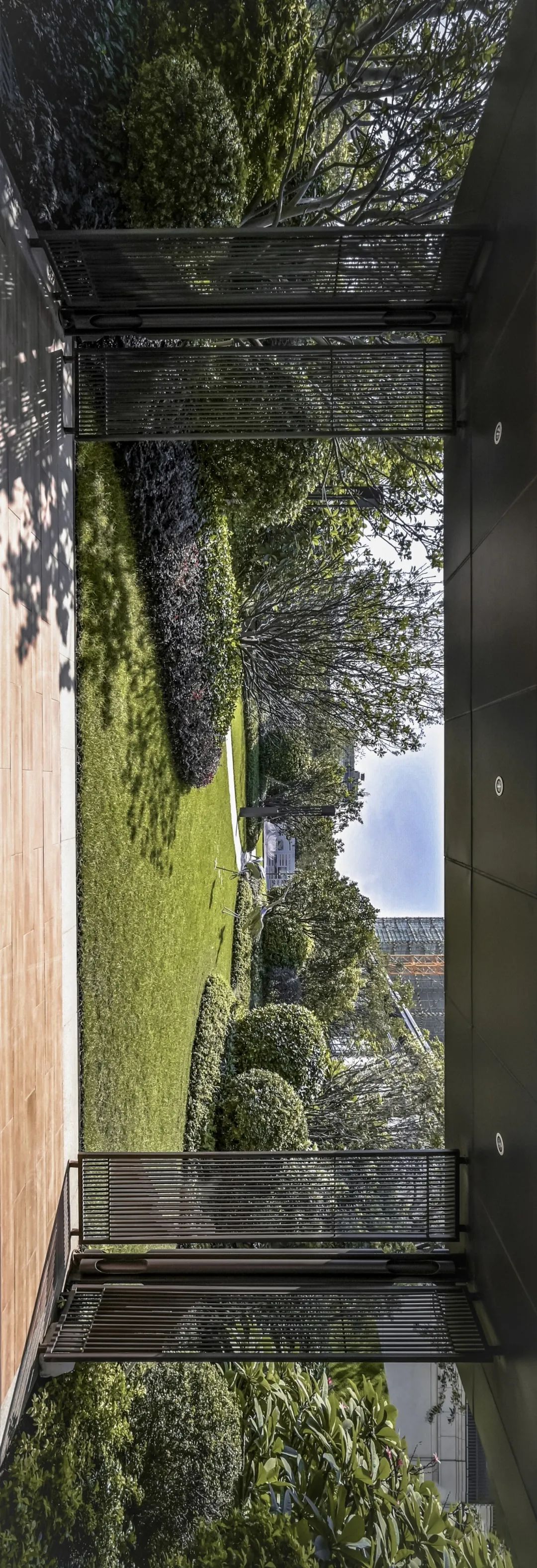 三水荷花世界,云水荷香间的归心之所-7