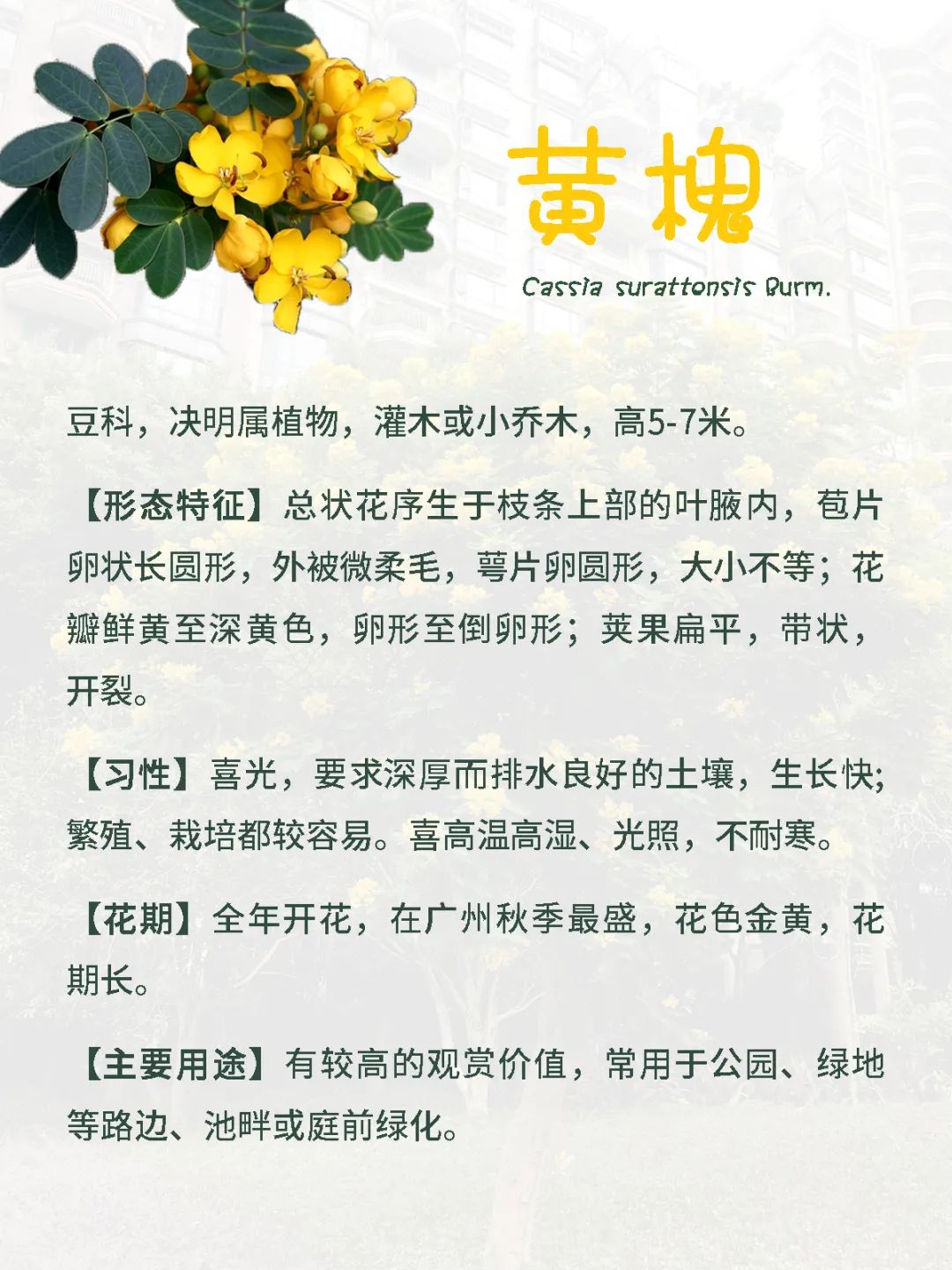 花城广州,四季繁花似锦的生态城市设计丨中国广州丨茏腾园林-35