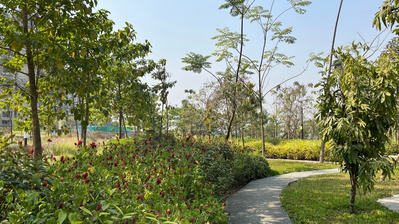 印度戈德雷吉河山中央绿地丨不详-27