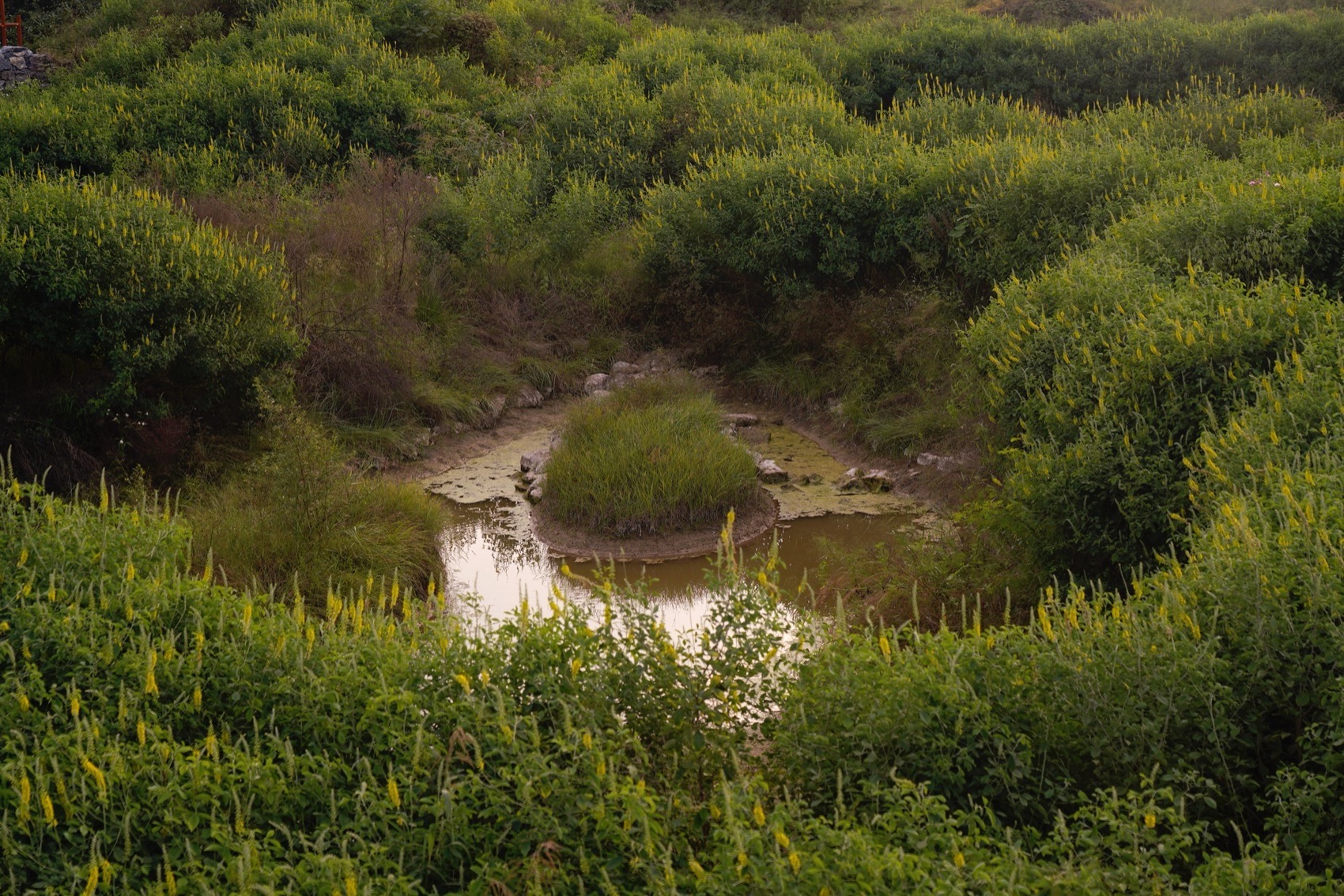 桂头镇湿地公园（桂头镇街文化公园）丨中国韶关丨有限设计工作室-38