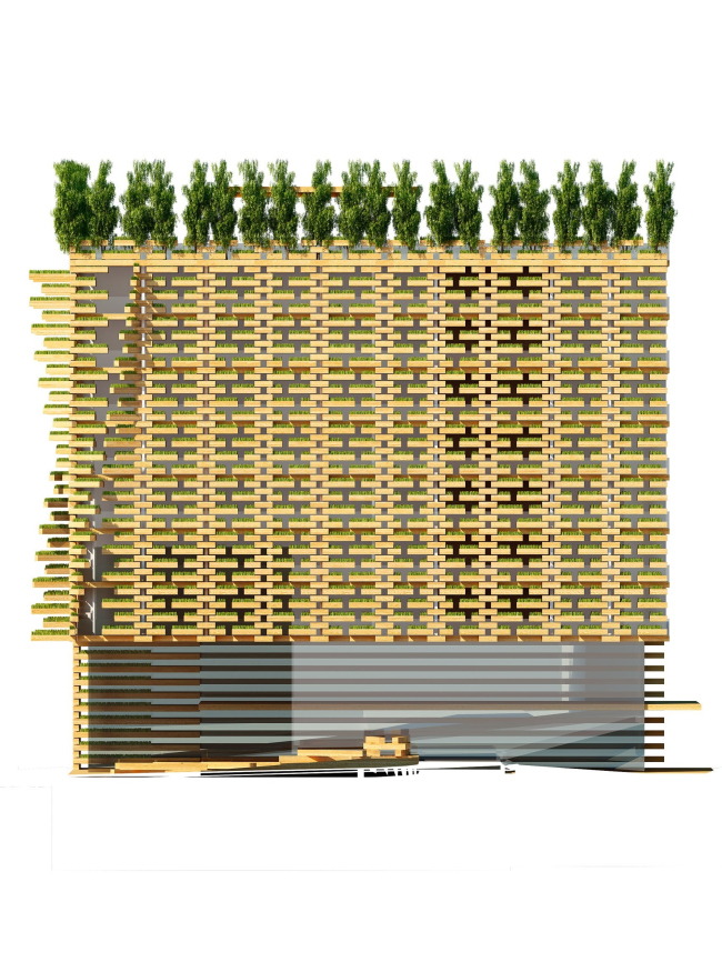 “Сад” 公寓酒店竞赛项目丨罗马尼亚德瓦丨Тотан Кузембаев 建筑工作室-38
