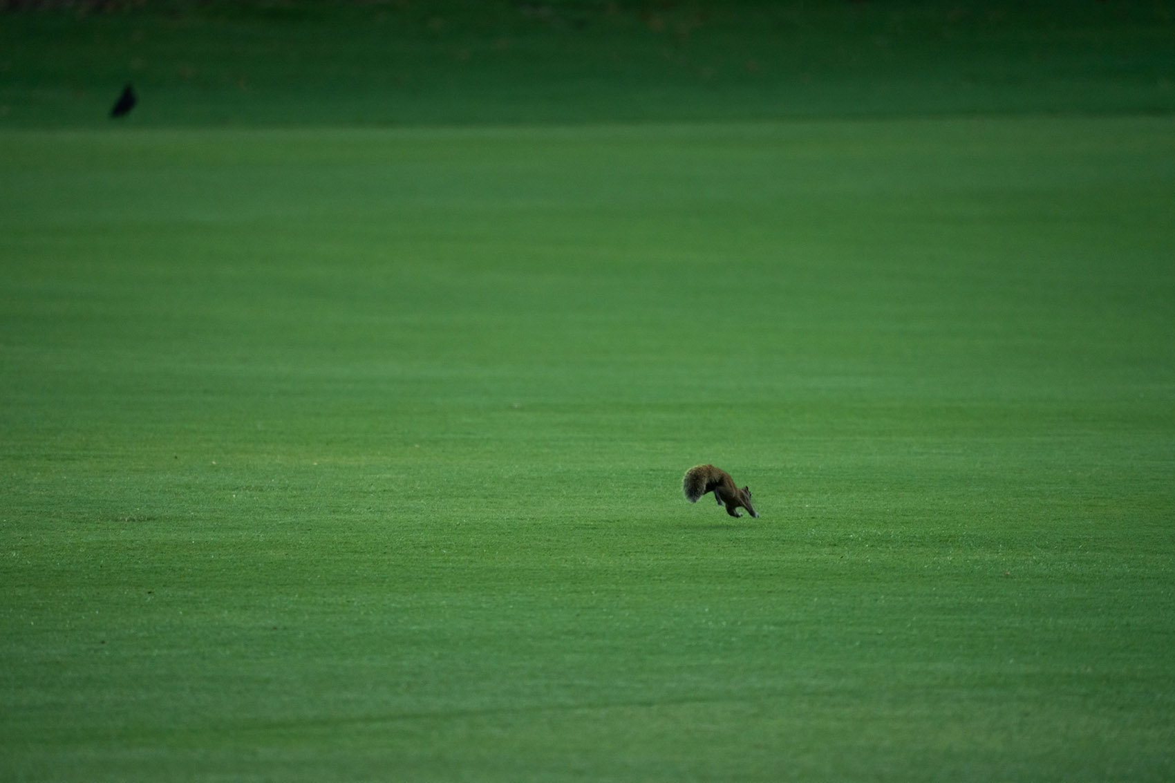 西湖高尔夫丨中国杭州丨NCD Studio 玖鹿设计-87