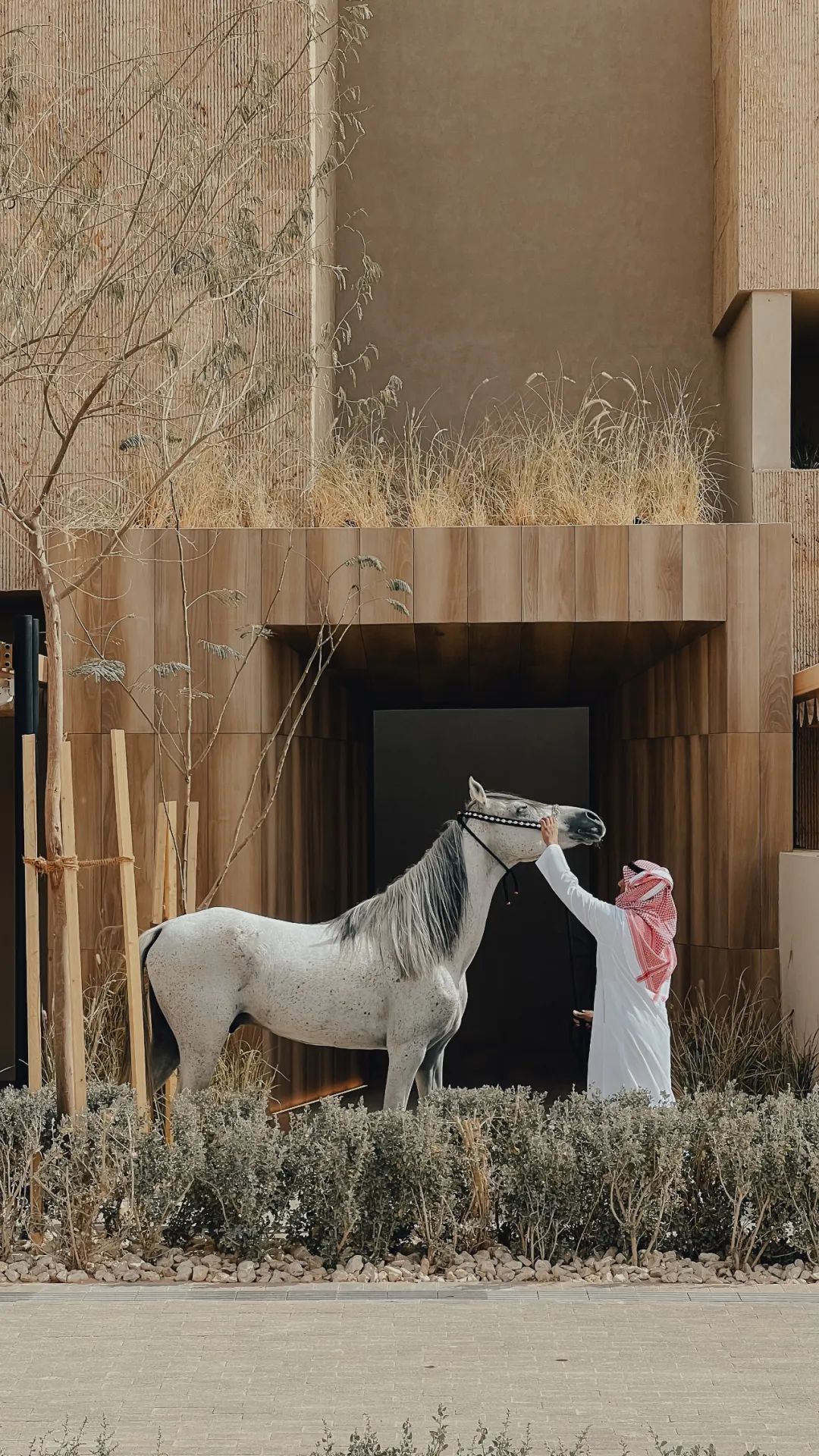 10 号房子丨伊朗丨USE Studio-37