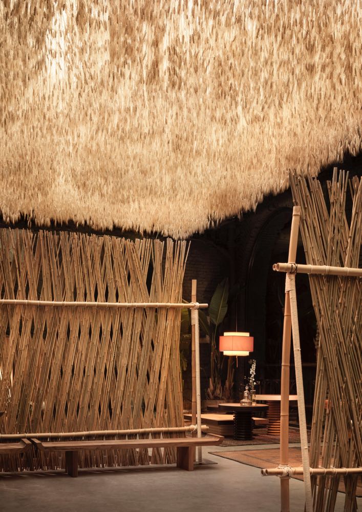 LOCAL DESIGN — Blog — Design.daily-5