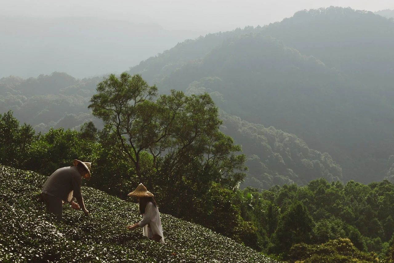 嘉佩乐酒店丨中国台北丨傅厚民(André Fu)-75