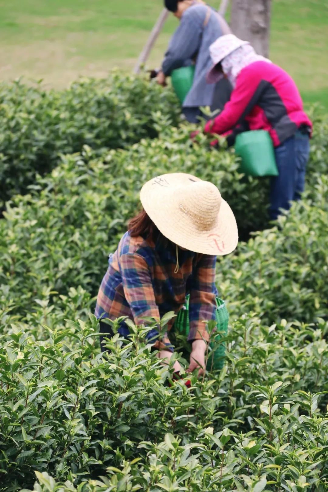 野花农场度假村丨美国纽约丨Auberge Resorts Collection-62