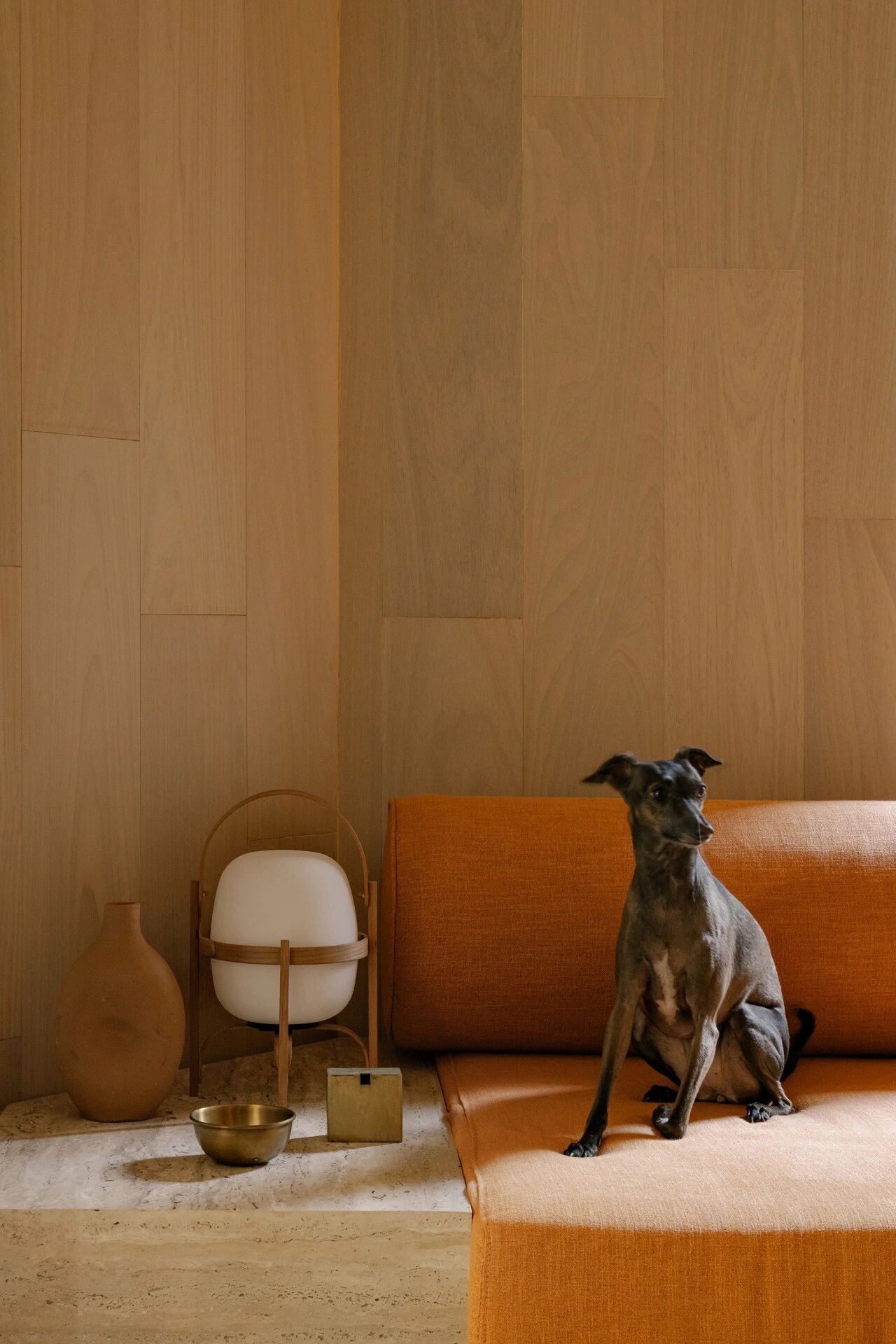 Matisse 公寓丨巴西圣保罗丨巴西 Gurgel D’Alfonso Arquitetura-22