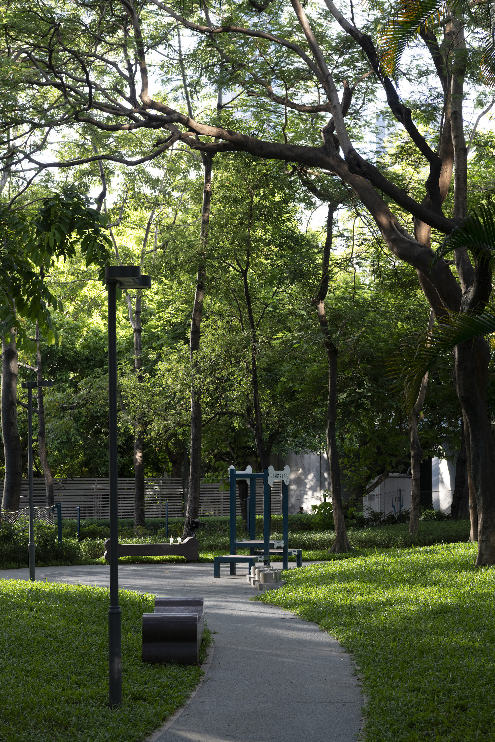 深圳市罗湖泥岗东路宠物友好口袋公园丨中国深圳丨深圳市未名设计顾问有限公司罗湖分公司（WMLA）-64