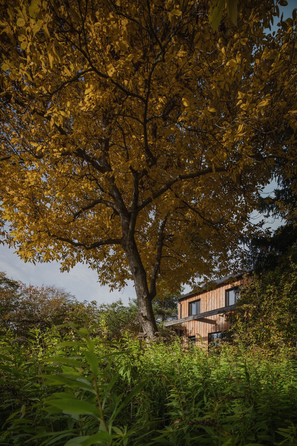 花园中的家庭住宅丨捷克丨Mimosa Architects-8