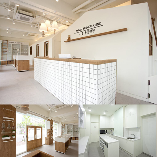 简约清新，展现专业水准的动物医院设计-1