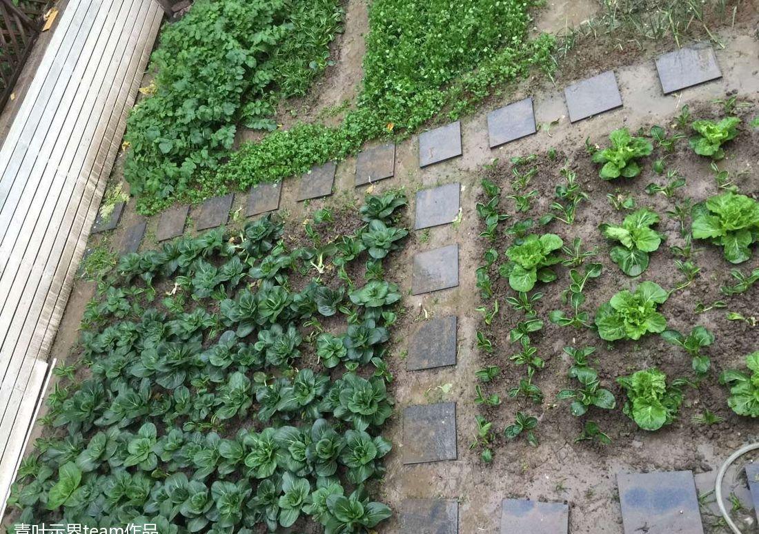 青浦别墅的实用宜居设计-32