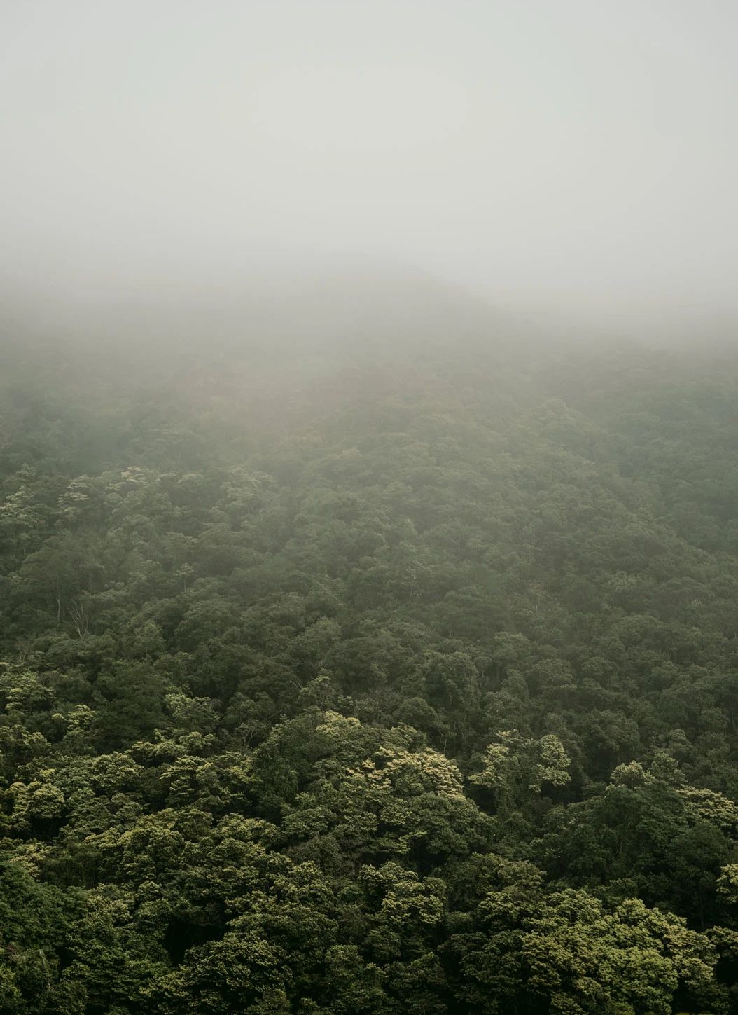 香港浅水湾住宅丨中国香港丨Norm Architects-0