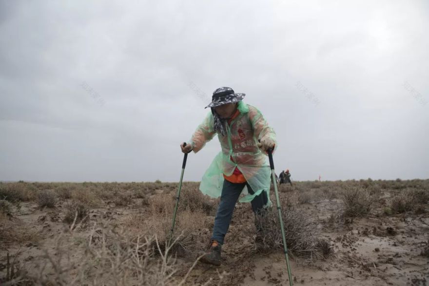 申远戈 5 | 百人戈壁挑战,探索生命力量的设计之旅-224