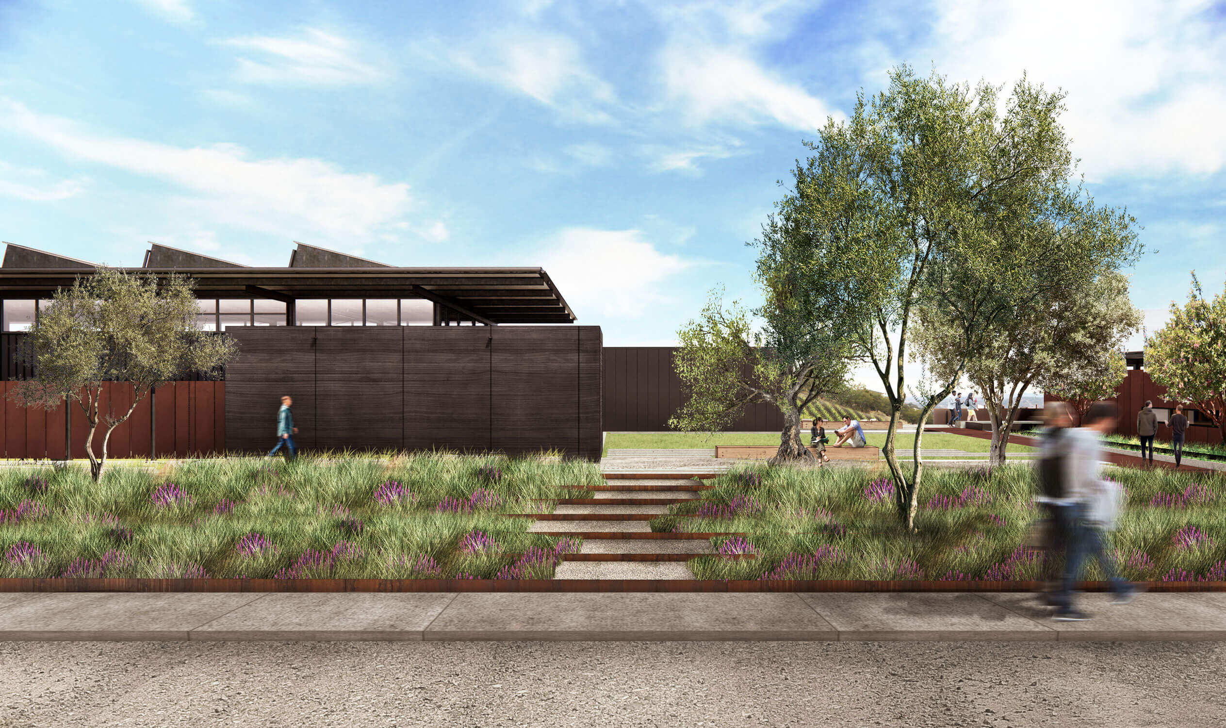 Copia Vineyards | Clayton Korte-8