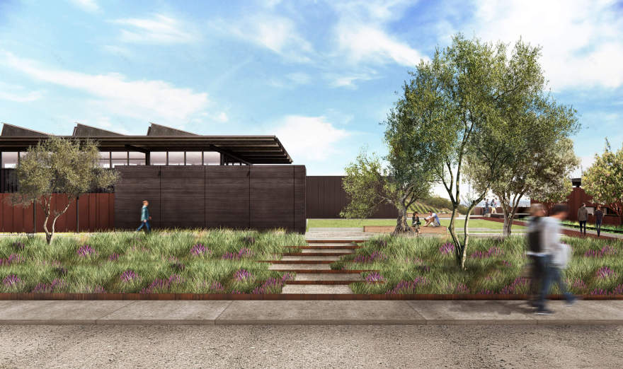 Copia Vineyards | Clayton Korte-8