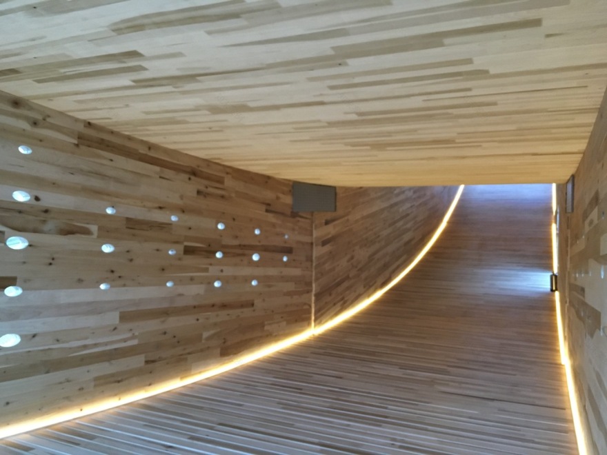 The Smile Alison Brooks Architects-35