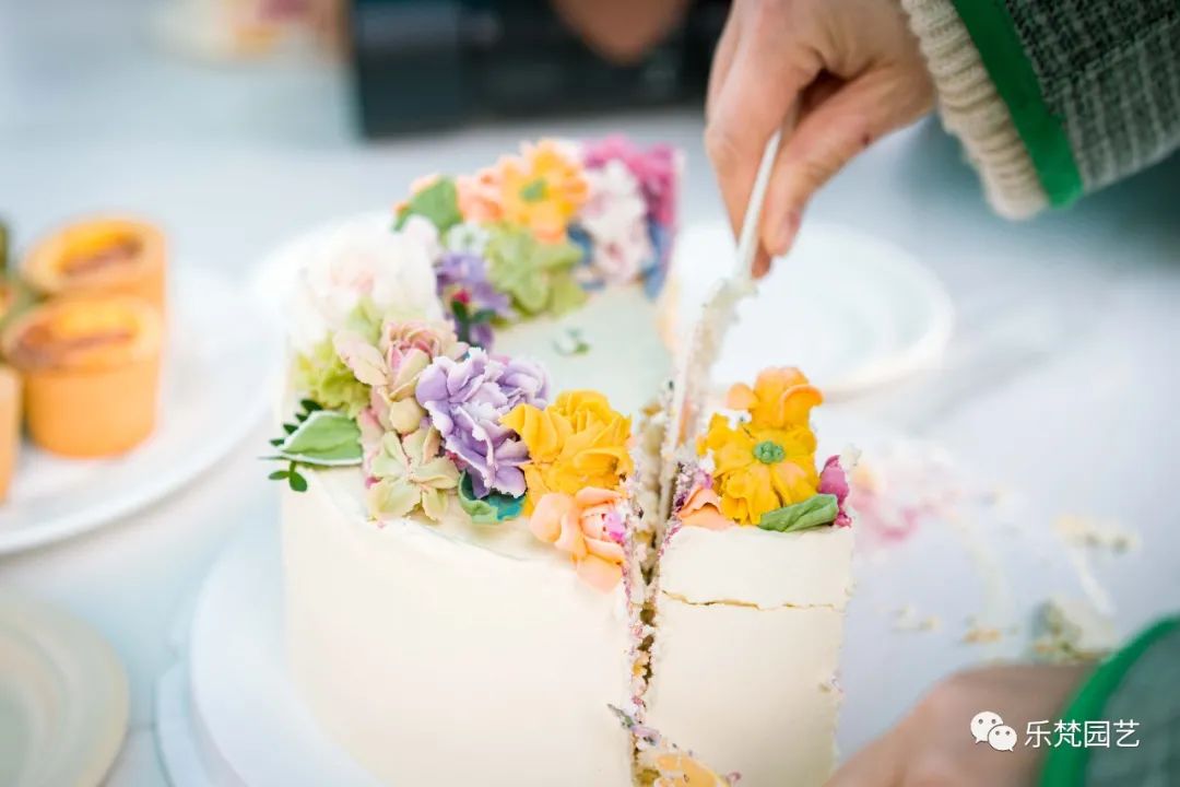 乐梵花园冬日游园会丨乐梵园艺-9