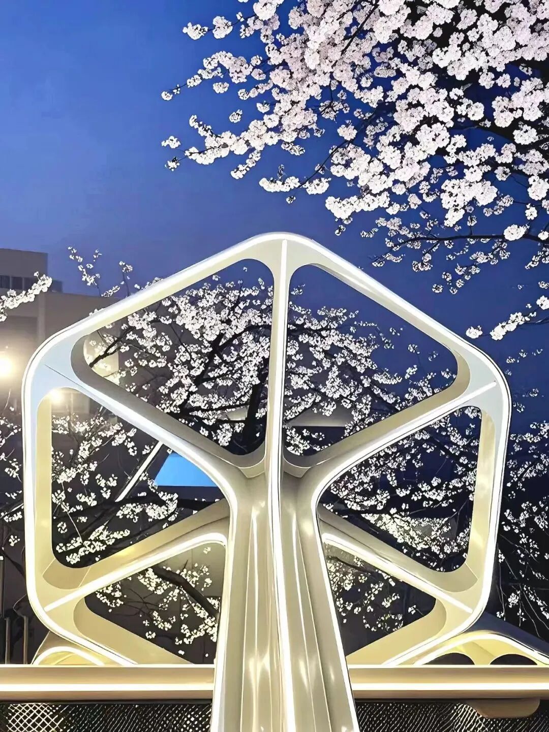 深总院微空间，雕琢樱花公交站之美-30