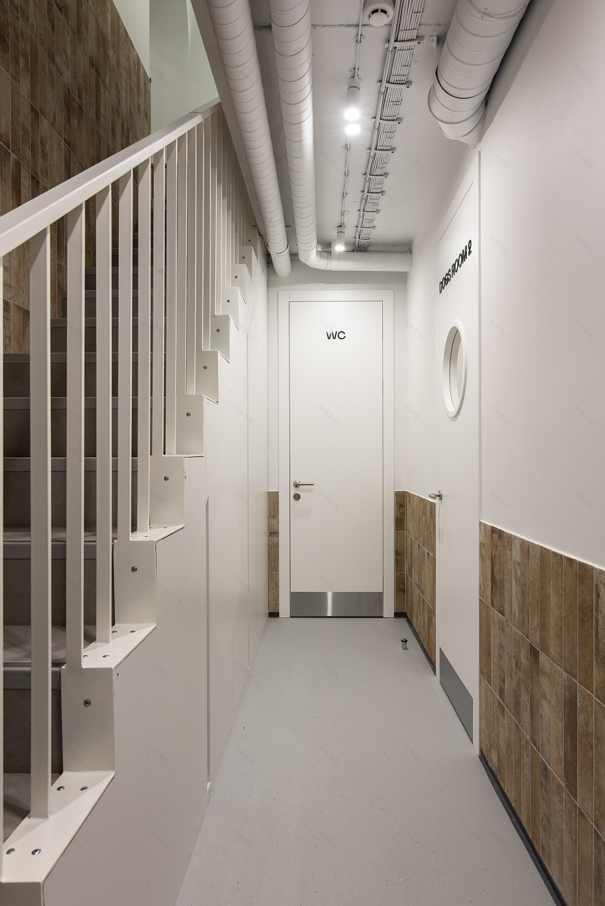 宠物医院丨乌克兰基辅-35