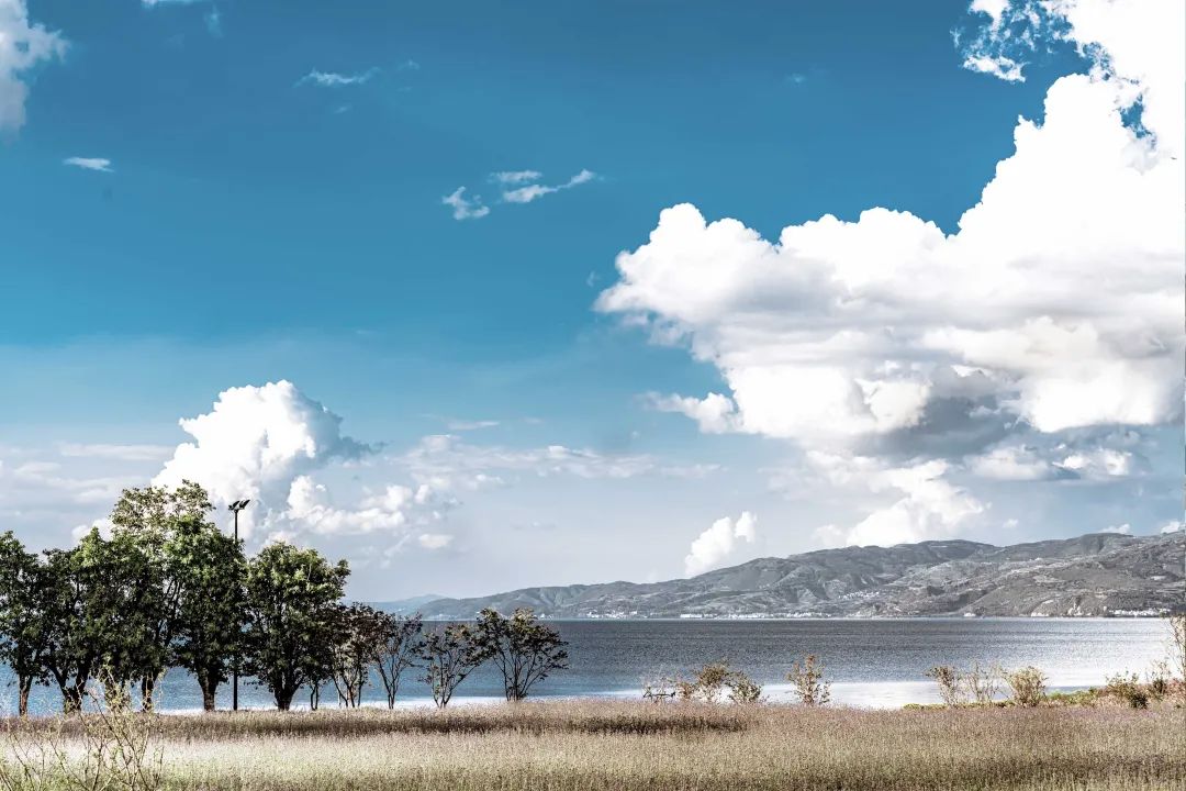 抚仙湖星空小镇 | 生态修复的人与自然和谐共生典范-10