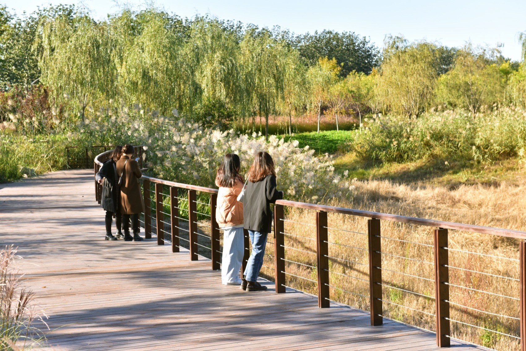 饮鹿池公园丨中国北京丨北京林业大学风景园林规划设计研究院+山水和泓+原筑景观-10