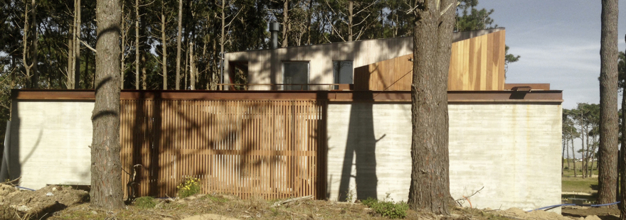 乌拉圭 Pinar del Faro 住宅-12