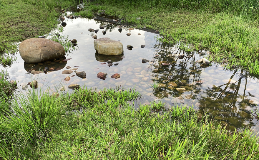 深圳光明虹桥1958生态公园丨中国深圳丨深圳自组空间,深圳市建筑科学研究院股份有限公司-63