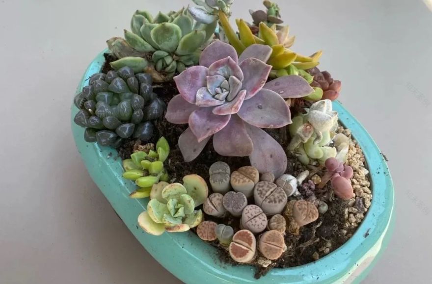 微物之光 · 成都 650㎡自然美学别墅设计丨中国成都丨STUDIO.Y 室内设计事务所-63