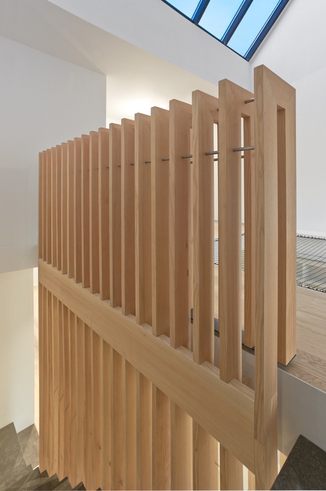 蒙特利尔现代镇屋，中庭与花园的巧妙融合-36