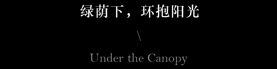 吴滨武康路自宅丨中国上海丨W.DESIGN无间设计,W.DESIGN无间软装-4