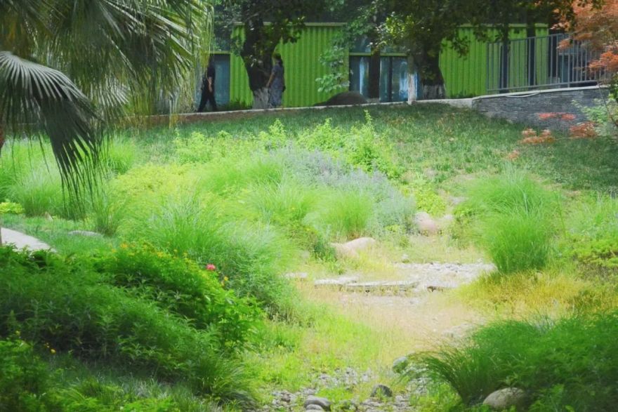 武侯丽都运动公园“微更新”改造丨市建筑院设计五院-26