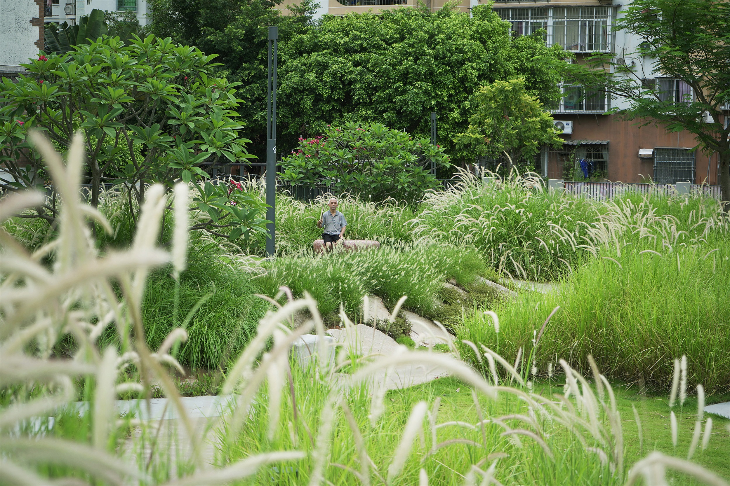 废弃地重生 · 深圳梅丰社区公园激活社区生活丨深圳自组空间-29