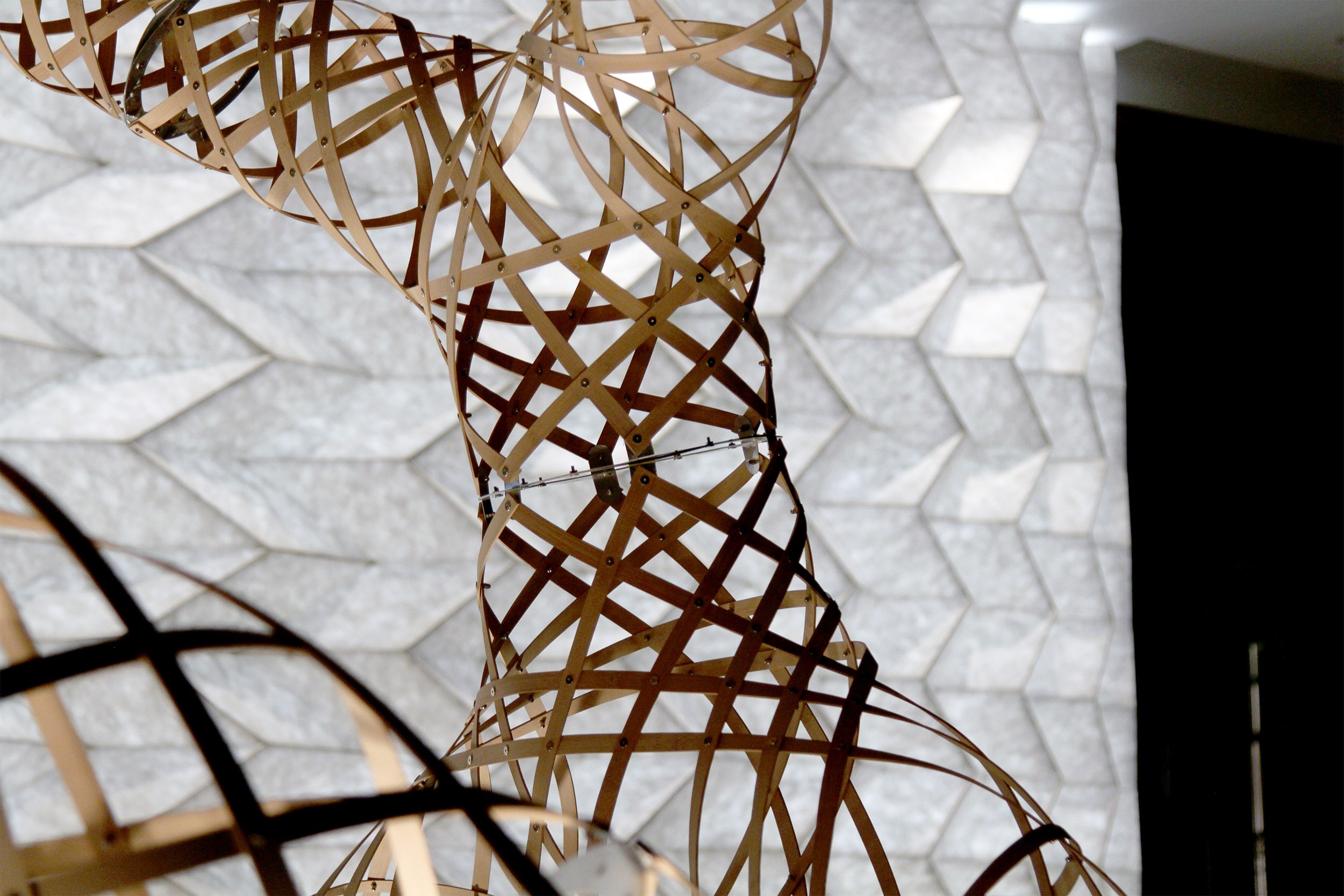 《编织丛林》 | 竹材的形态探索-17