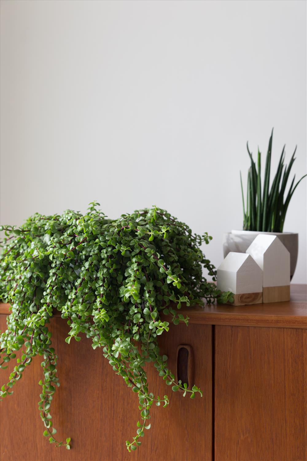 רויטל ארז · 4室公寓家居造型设计  拉霍沃特丨רויטל ארז室内设计与家居造型工作室-17