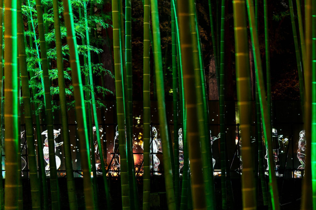 teamLab偕乐园光之祭丨日本-30