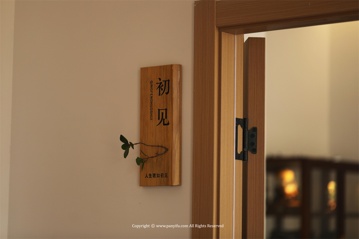 清风活水 · 潘艺夫团队 · IFPD 案例-45