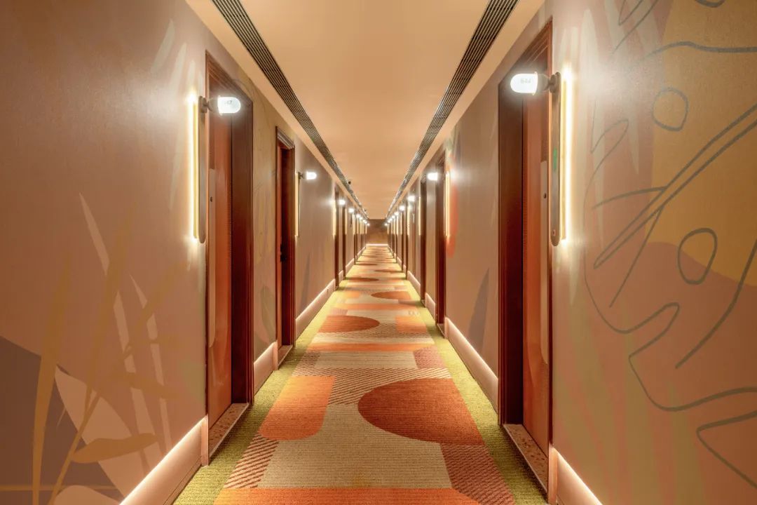 桔子 | 上新！-57