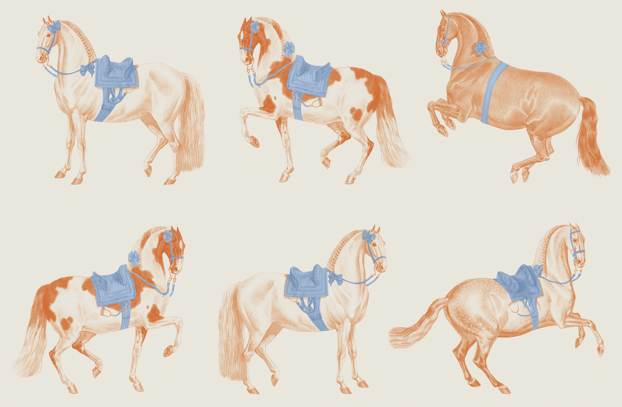 Lusitano. Hand drawn wallpaper design-9