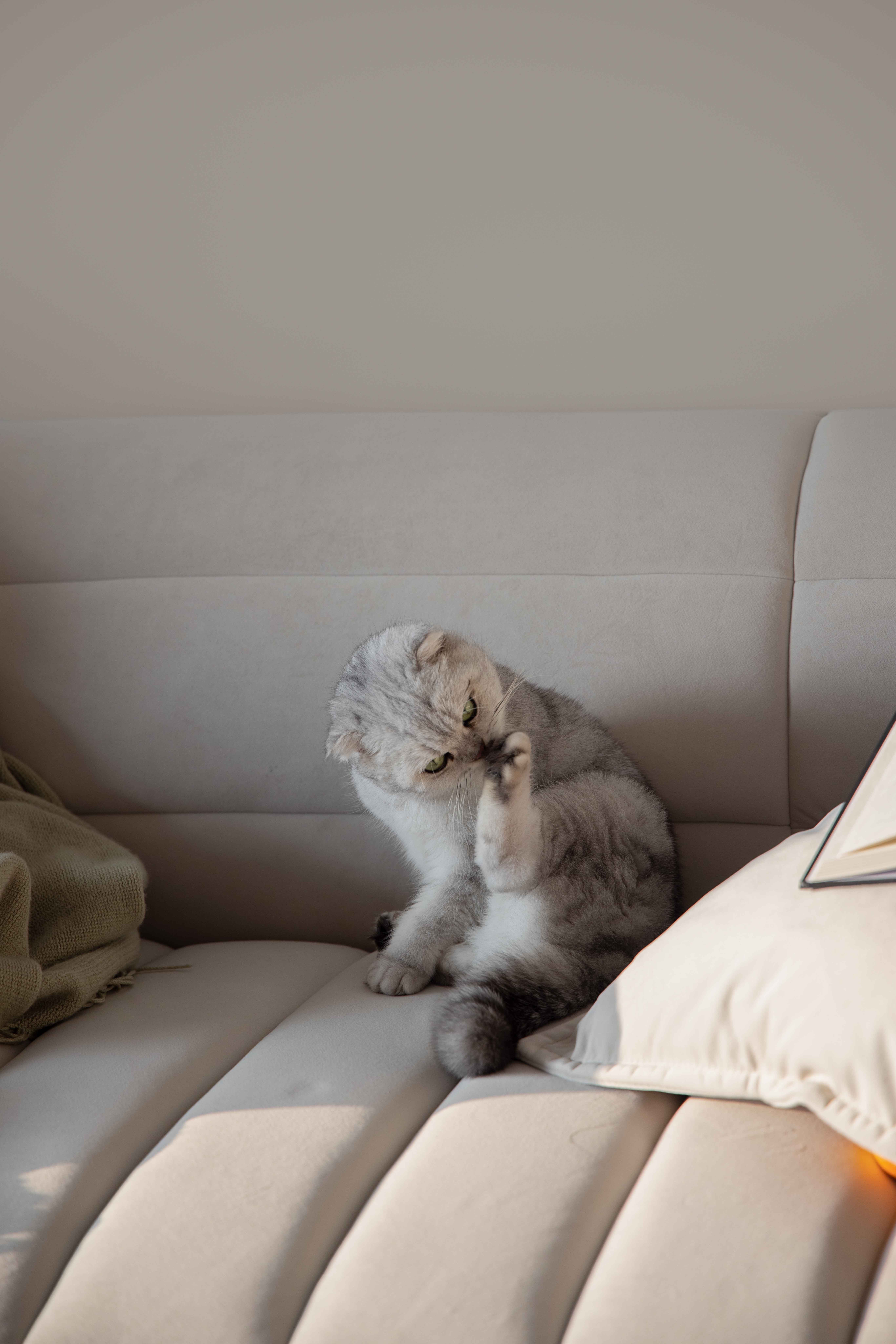 凤凰山庄丨中国安徽丨度设计机构-54