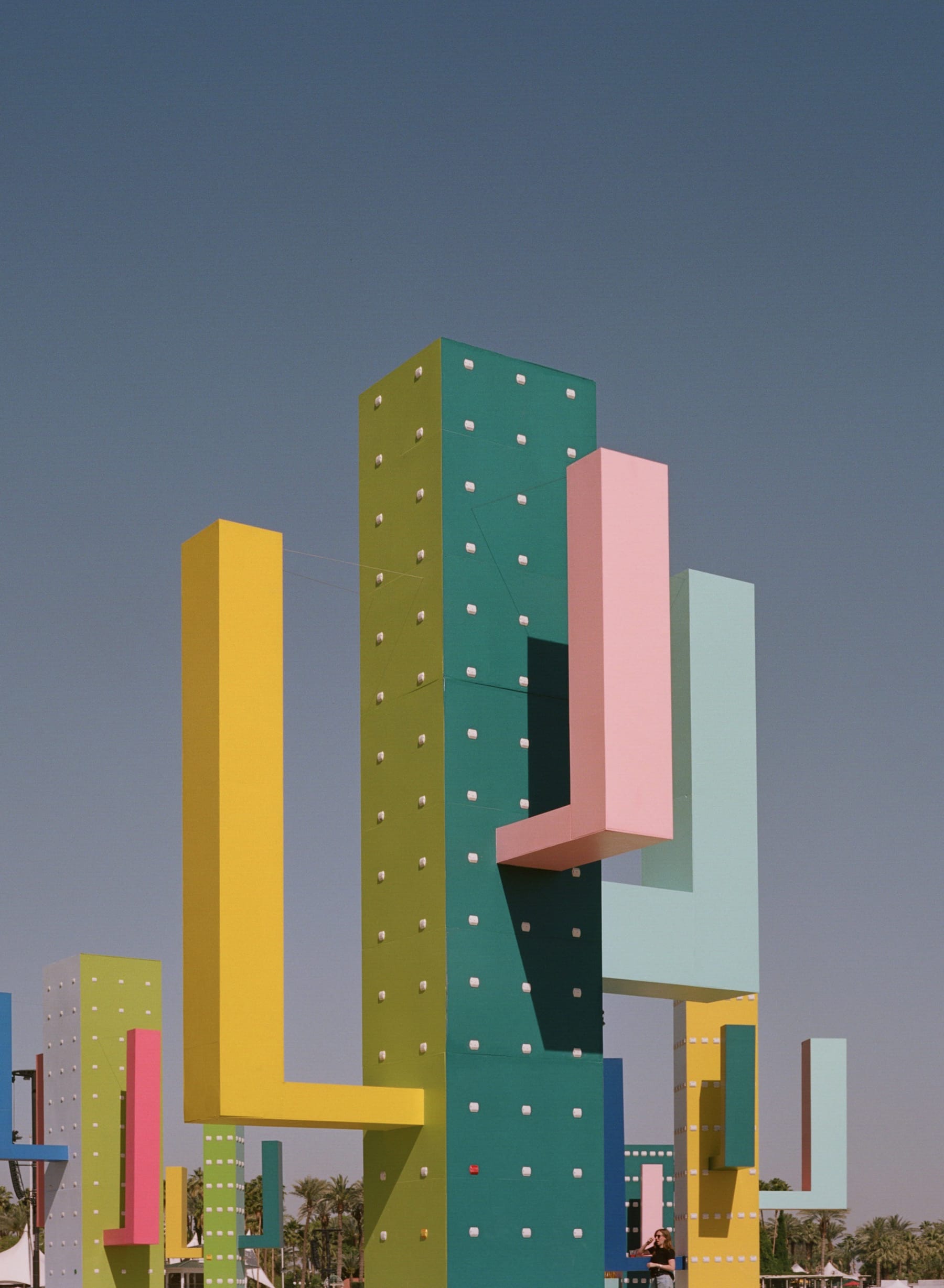 巨大仙人掌,科瓦奇办公室-43