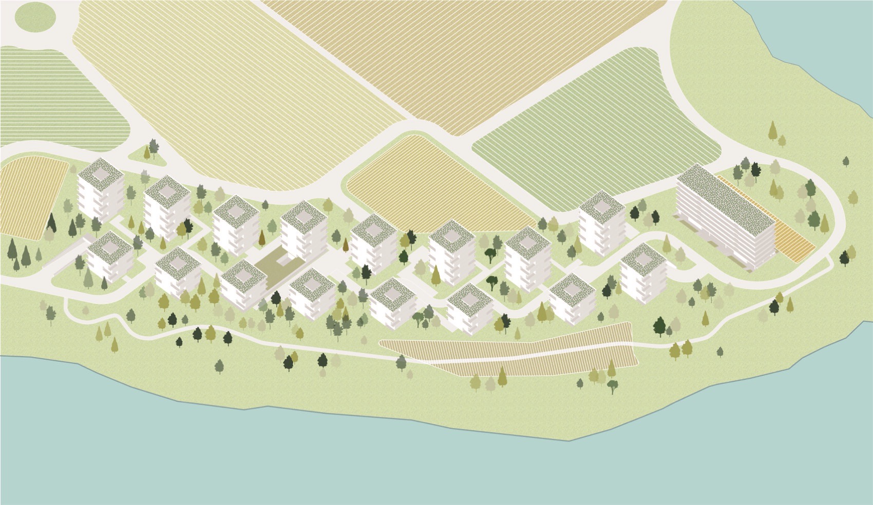 东山岛社区丨中国浙江丨MORE Architecture-13