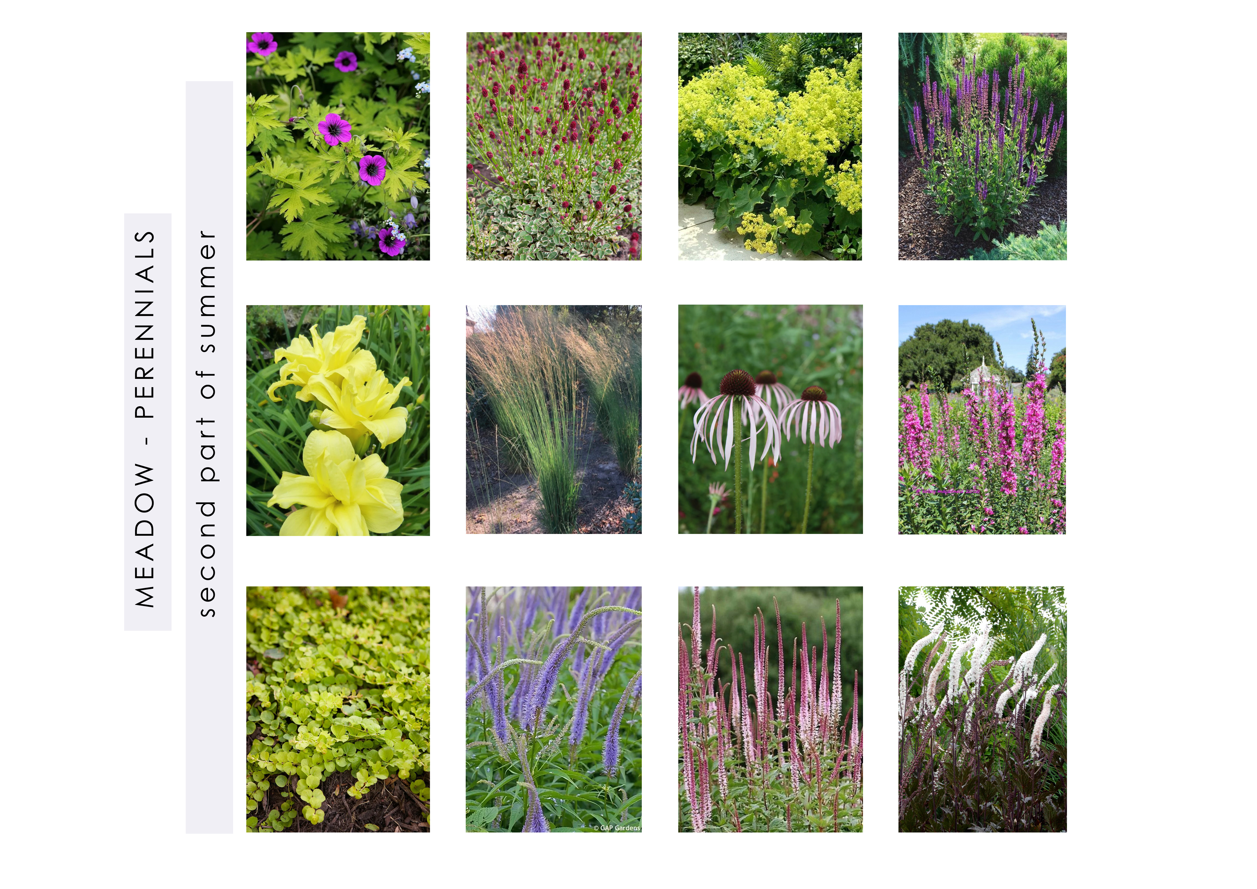 Private garden, 2023-13