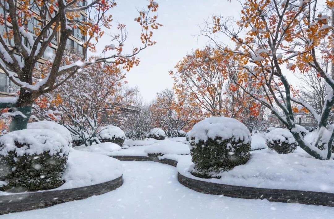 北京·中海·翠湖玖章丨中国北京丨麦田景观-7
