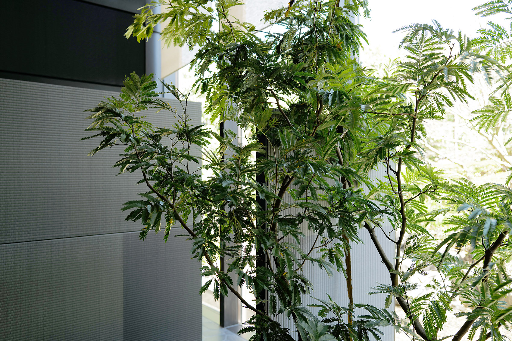 京都NOMA餐厅室内设计丨日本京都丨OEO STUDIO-57