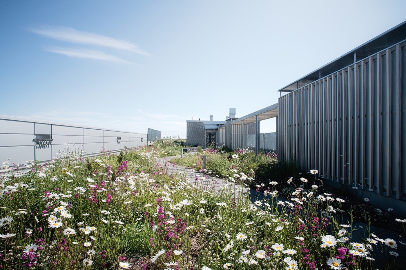 芬兰赫尔辛基绿色住宅区的生态设计探索-23